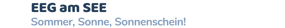 EEG am SEE